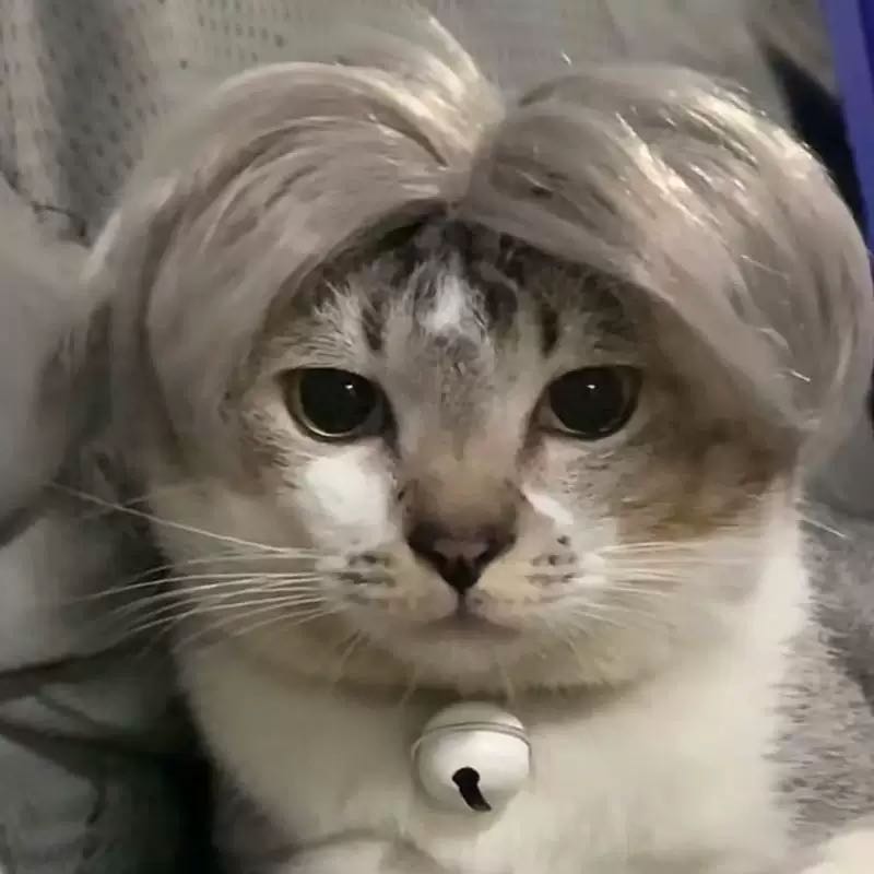 Pet Wig - Chic Gray Short Hair Wig for Cats and Dogs