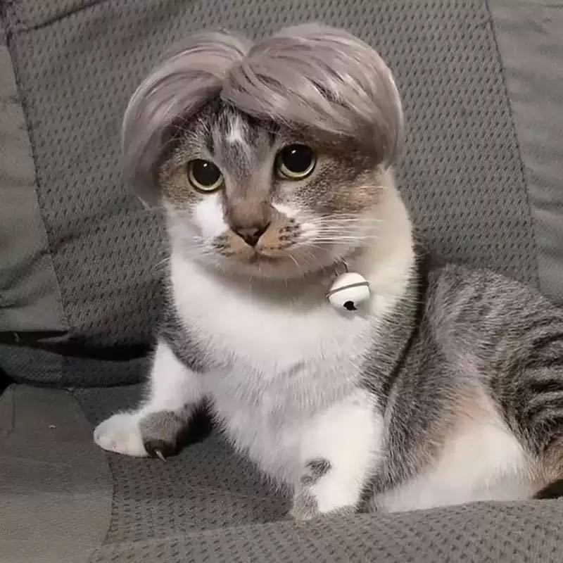 Pet Wig - Chic Gray Short Hair Wig for Cats and Dogs